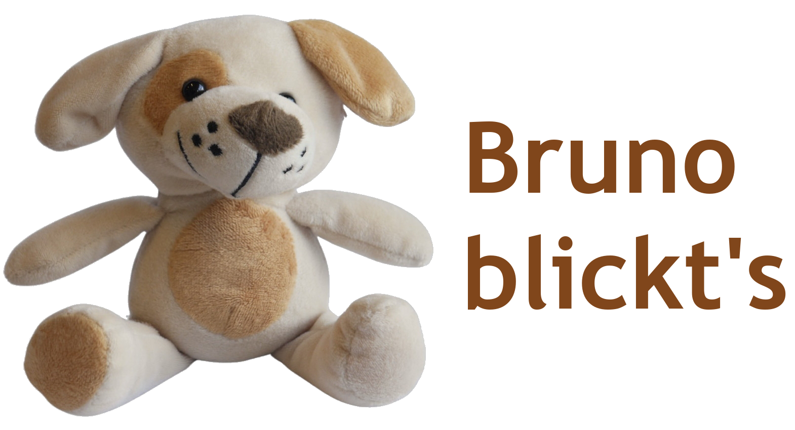 Bruno blickts